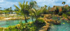 DISCOVERY COVE IN FLORIDA