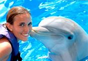 SWIMMING WITH DOLPHINS [FLORIDA]