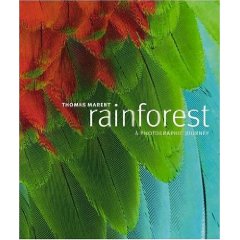 RAIN FOREST PHOTOS
