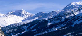 SKIING AND THE ENVIRONMENT