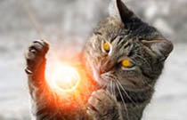 IS YOUR PET PSYCHIC?