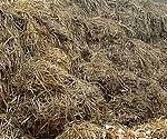 P-manure