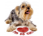 P-animal-pet-communicate
