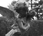 ANGELS