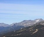 NITROGEN POLLUTION