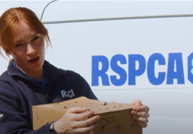 CREATE AN ANIMAL ‘RESCUE BOX’