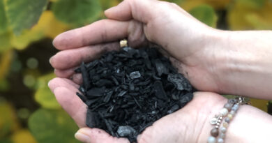 BIOCHAR  REDUCING THE RISKS OF DDT-CONTAMINATED SOIL