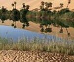 P-water-oasis-desert