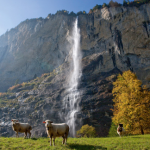 P-author-Bernese oberland-Waterfall
