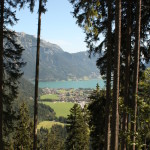 p-pertisau-austria-forest