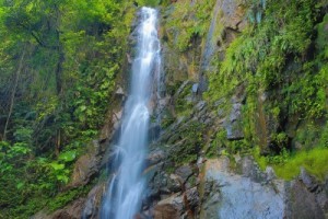 Costa Rica- Waterfall