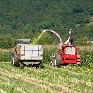 Good farming reaps bumper crops