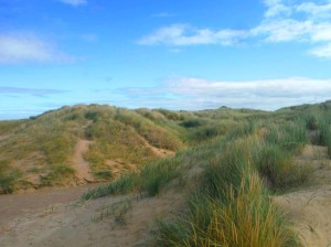 P-Birkdale Dunes - copyright NMARG