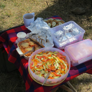 P-food-picnic