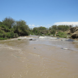 P-river-masai-mara-river