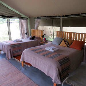 P-tent-africa-porini lion camp-beds