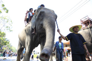 Elephant rides are popular with tourists in Thailand