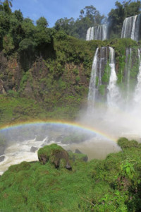 Iguazu Waterfall Argentina
