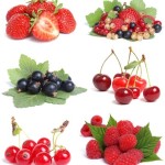 Berry selection