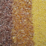 Grains are a source of good carbohydrate