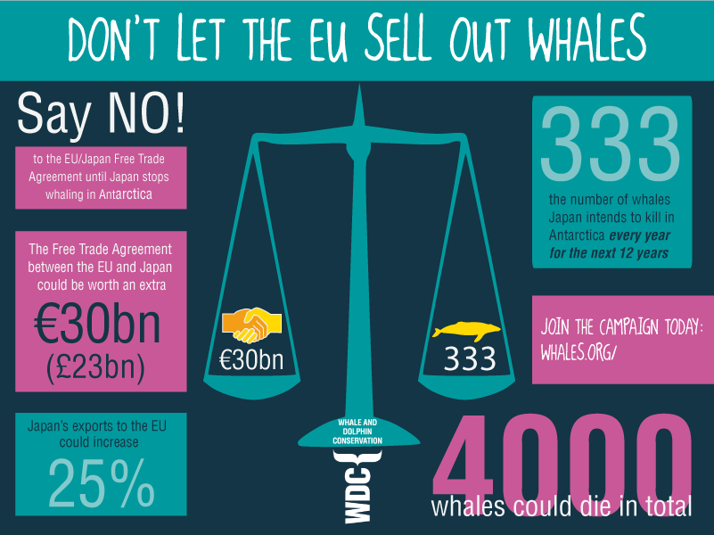 whaling-eu-infographic