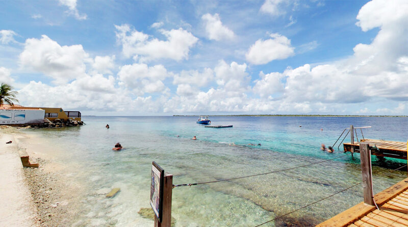 Q&A: REEF RENEWAL FOUNDATION IN BONAIRE