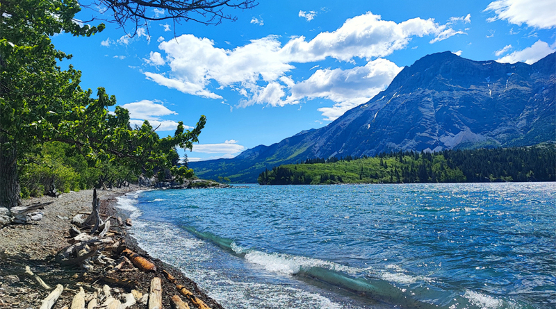 WATERTON LAKES NATIONAL PARK, ALBERTA, CANADA